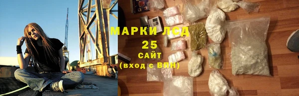 твердый Бородино