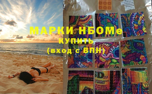 твердый Бородино
