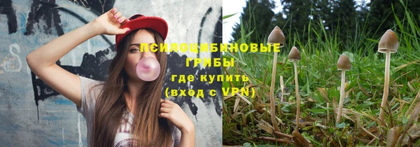 сатива Бронницы