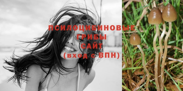 МДПВ Верхний Тагил