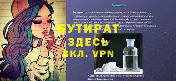 твердый Бородино
