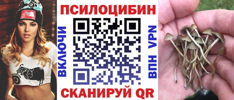 гидра онион  Горняк  Псилоцибиновые грибы Psilocybe 